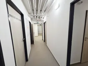 Pronájem bytu 1+kk, Uherské Hradiště, Zahrádky, 39 m2