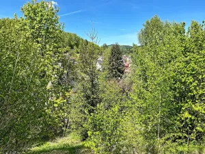 Prodej pozemku pro bydlení, Kraslice, 1039 m2