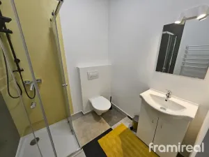 Pronájem bytu 2+kk, Brno, Čejkova, 55 m2