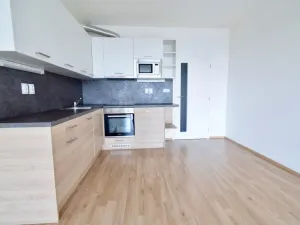 Pronájem bytu 1+kk, Brno - Slatina, Řípská, 40 m2
