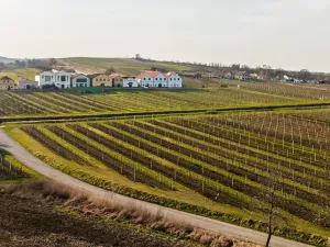 Prodej rodinného domu, Dolní Dunajovice, Rudé armády, 203 m2