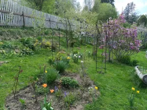 Prodej zahrady, Žlutice, 569 m2