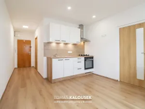 Pronájem bytu 1+1, Brno - Řečkovice, Žitná, 34 m2