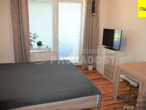 Pronájem bytu 1+kk, Jihlava, Zimní, 30 m2