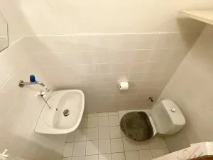 Pronájem rodinného domu, Ostrava - Hrabůvka, Edisonova, 248 m2