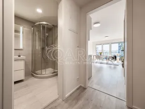 Pronájem bytu 1+kk, Praha - Hloubětín, Poděbradská, 39 m2