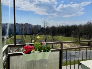 Prodej bytu 2+kk, Ostrava, Polská, 44 m2