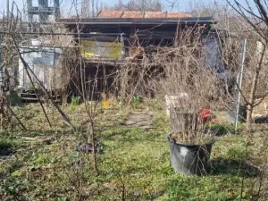 Prodej zahrady, Chomutov, Na Průhoně, 363 m2