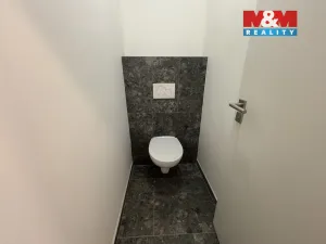 Pronájem kanceláře, Ostrava - Přívoz, Trocnovská, 240 m2