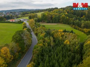 Prodej lesa, Kosov, 467 m2