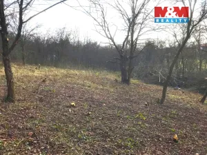 Prodej zahrady, Postoloprty - Mradice, 782 m2