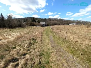 Prodej pozemku pro bydlení, Štěnovice, 7024 m2