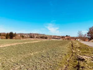 Prodej pole, Tchořovice, 4953 m2