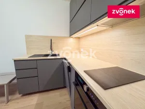 Pronájem bytu 1+kk, Zlín, Nad Stráněmi, 37 m2