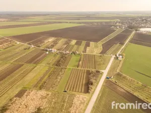 Prodej pozemku, Moravský Žižkov, 2781 m2
