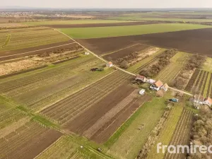 Prodej pozemku, Moravský Žižkov, 2781 m2