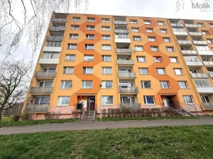 Pronájem bytu 3+1, Chomutov, Jirkovská, 62 m2