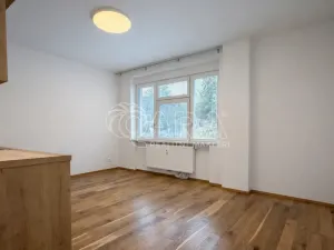 Pronájem bytu 1+kk, Praha - Vršovice, Ruská, 26 m2