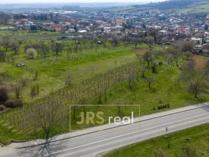 Prodej rodinného domu, Boršice, 226 m2