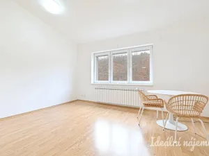 Pronájem bytu 1+kk, Adamov, Osvobození, 30 m2