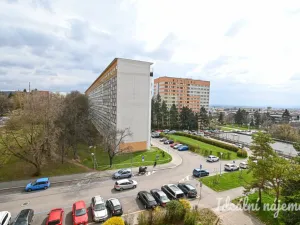 Pronájem bytu 1+kk, Brno, Halasovo náměstí, 22 m2