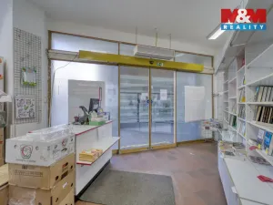 Pronájem obchodního prostoru, Plzeň - Vnitřní Město, Bedřicha Smetany, 304 m2