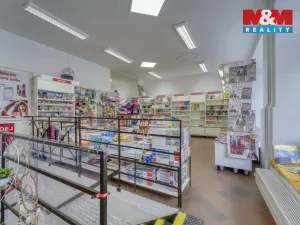 Pronájem obchodního prostoru, Plzeň - Vnitřní Město, Bedřicha Smetany, 304 m2