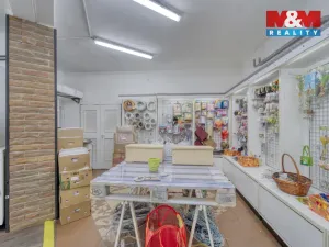 Pronájem obchodního prostoru, Plzeň - Vnitřní Město, Bedřicha Smetany, 304 m2