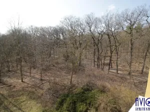 Pronájem bytu 2+kk, Praha - Kobylisy, Jelínkova, 47 m2