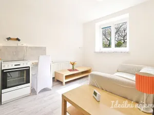 Pronájem bytu 2+kk, Brno, Berkova, 41 m2