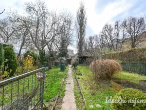 Pronájem bytu 2+kk, Brno, Berkova, 41 m2