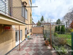 Pronájem bytu 2+kk, Brno - Královo Pole, Berkova, 41 m2