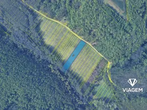 Prodej pole, Střelice, 4094 m2