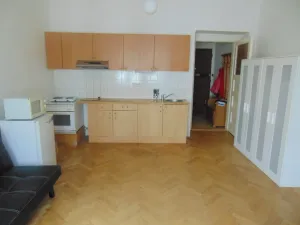 Pronájem bytu 1+kk, Praha - Nusle, U křížku, 28 m2