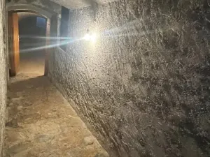 Pronájem chalupy, Čestín, 350 m2