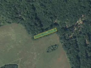 Prodej louky, Nesvačily, 9239 m2