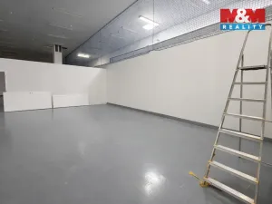 Pronájem skladu, Praha - Strašnice, K Červenému dvoru, 42 m2