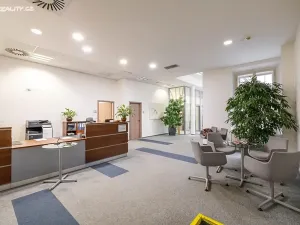 Pronájem kanceláře, Praha - Nové Město, Politických vězňů, 300 m2