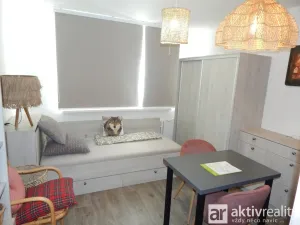 Prodej bytu 1+kk, Chomutov, Kostnická, 19 m2