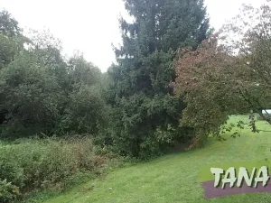 Prodej podílu pozemku pro bydlení, Mladějov, 382 m2