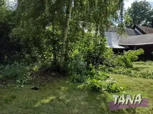 Prodej chalupy, Roprachtice, 50 m2