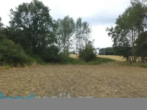 Prodej zahrady, Heřmanova Huť, 1100 m2