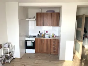 Prodej bytu 2+kk, Bzová, 42 m2