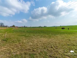 Prodej pozemku pro bydlení, Čermná, 1091 m2