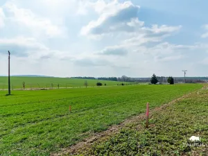 Prodej pozemku pro bydlení, Čermná, 988 m2