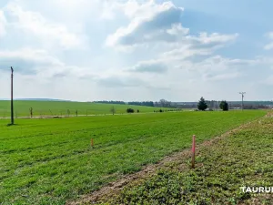 Prodej pozemku pro bydlení, Čermná, 988 m2