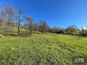 Prodej rodinného domu, Pašovice, 167 m2