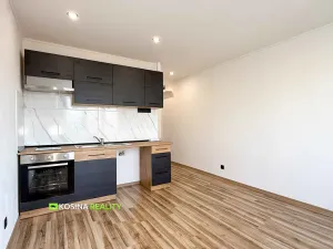 Pronájem bytu 1+kk, Sokolov, Švabinského, 22 m2