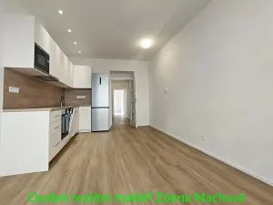 Pronájem bytu 1+1, Praha - Vinohrady, Písecká, 52 m2