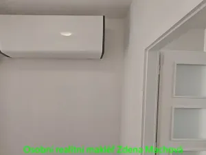 Pronájem bytu 1+1, Praha - Vinohrady, Písecká, 52 m2